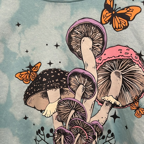NWT Mushroom Cropped Blue Sweatshirt Size xxl - Picture 2 of 3